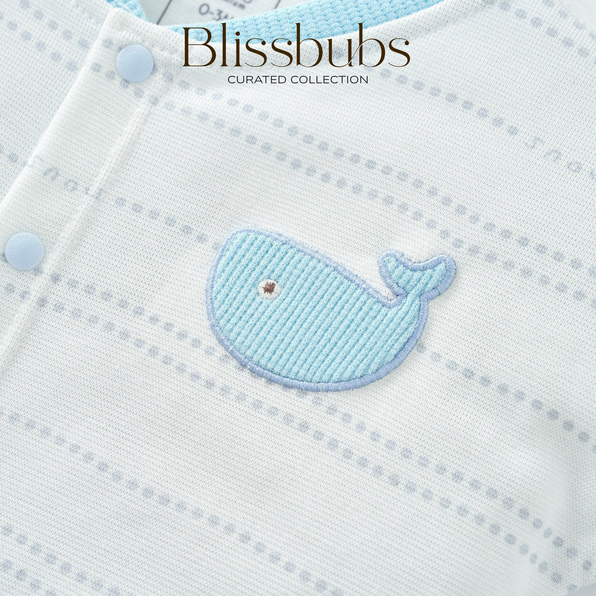 Whale Breeze Short Set