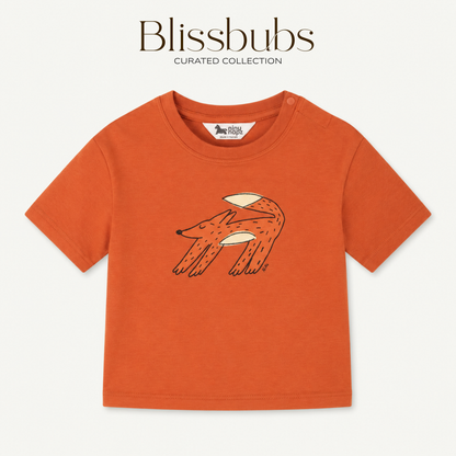 Napping Fox Short Set