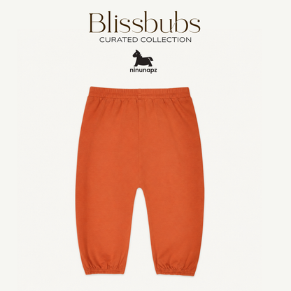 Napping Fox Long Set | Buttery-Soft Comfort for Cozy Little Adventures