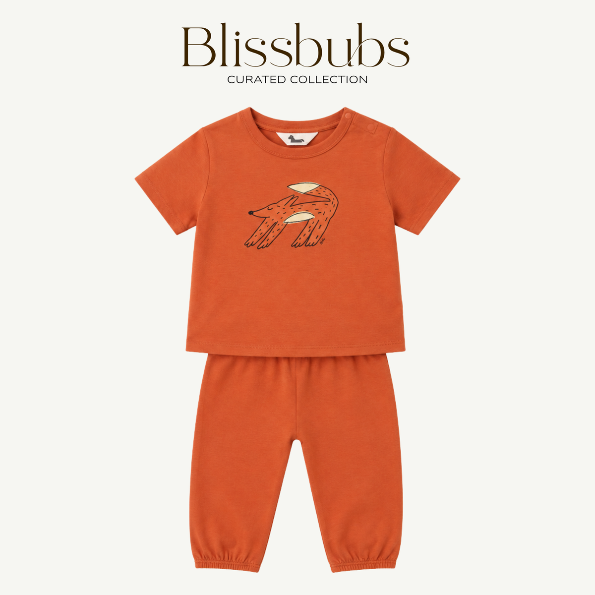 Napping Fox Long Set