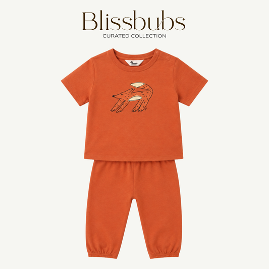 Napping Fox Long Set